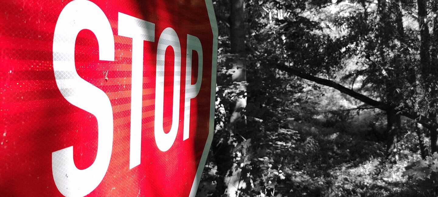 Značka STOP u výjezdu z lesa
